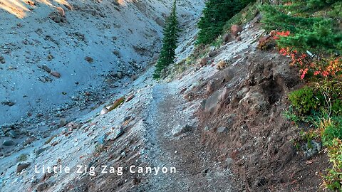 BITE-SIZED WILDS | EXPLORING Little Zig Zag Canyon @ Mount Hood! | Timberline Loop | Oregon | 4K