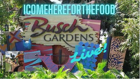 Christmas week at Busch Gardens Tampa Bay Livestream!