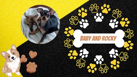 Baby and Rocky Trailer