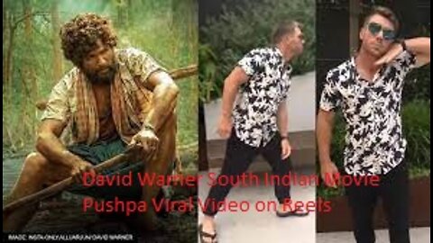 David Warner South Indian Movie Pushpa Viral Video on Reels