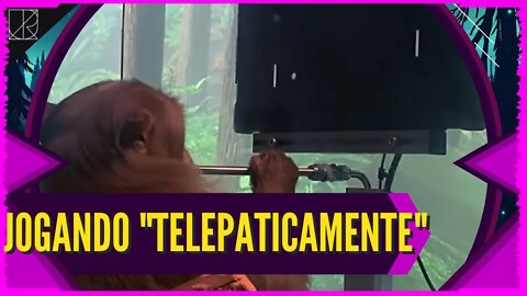 Neuralink - MACACO JOGANDO PONG por "TELEPATIA" || Como isso seria em uma sociedade e a Tecnologia