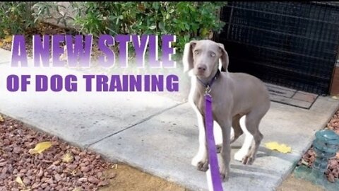 A new style of dog training