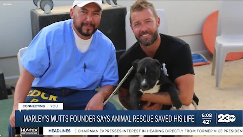 Marley's Mutts founder reflects on how animal rescue led him to sobriety