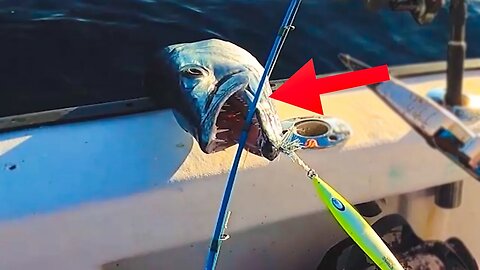 This fish broke my rod. Keys Reef Fishing