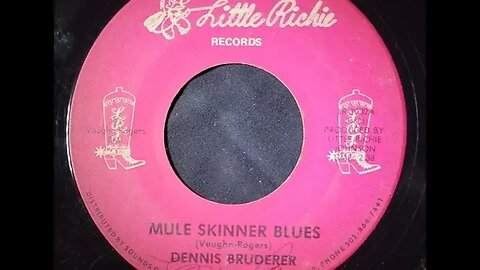 Dennis Bruderer – Mule Skinner Blues