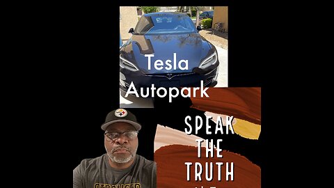 Tesla Autopark