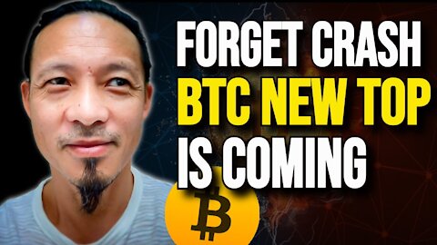 Willy Woo React To The Recent Bitcoin Crash (VERY BULLISH)