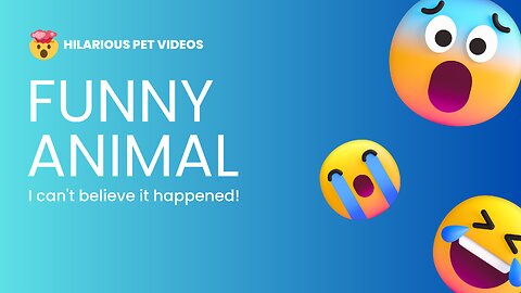 Funny animal videosCute animal videosFunny dog 🐕🤣🤣🤣🤣🤣🤣🤣