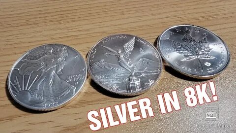 silver coins in 8K