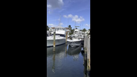 Pick one #florida #pompanobeach #lighthouse #yachtclub