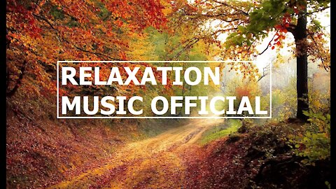 RELAXATION MUSIC OFFICIAL - relaxing music, music for meditation, stress relief, meditation. #0001