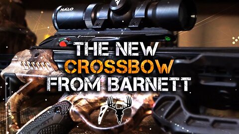 Barnett HyperTac 420: High Performance at a Low Price