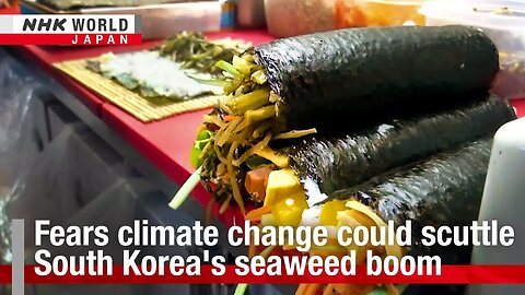 Fears climate change could scuttle South Korea's seaweed boomーNHK WORLD-JAPAN NEWS