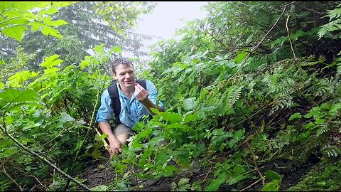 Mount Verstovia and Mount Arrowhead hike near Sitka, Alaska