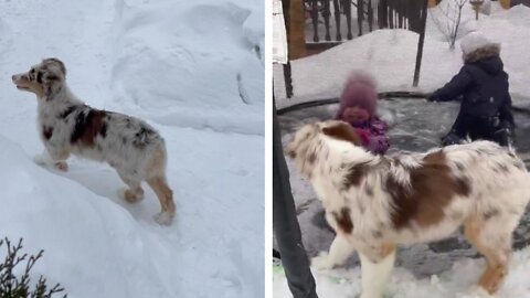 dog is excited playing with the child in the snow