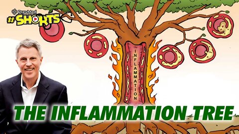 #SHORTS The Inflammation Tree