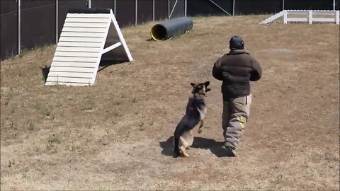 Camp Bondsteel Bite Suit Training