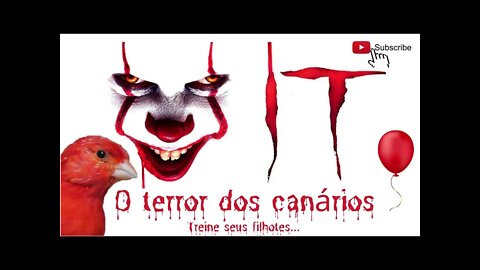 IT O terror dos canários - treino para filhotes