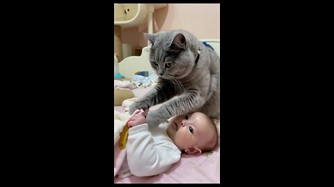 how sweet caring cat🤗