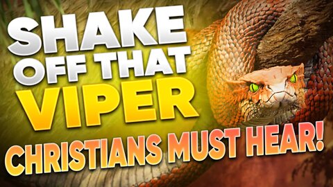 Find Your Freedom - Shake Off That Viper!