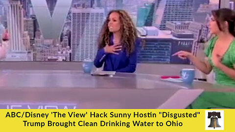 ABC/Disney 'The View' Hack Sunny Hostin "Disgusted" Trump Brought Clean Drinking Water to Ohio