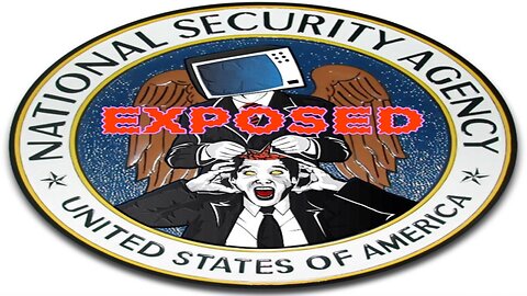 NSA: THE ELITES CYBER UNIT. YOU ARE THE ENEMY OF THE STATE