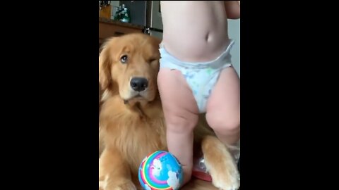 Dog and child are playing.