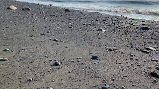 Beach cannon