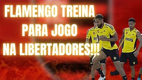 FLAMENGO TREINA PENSANDO NO JOGO DA LIBERTADORES.