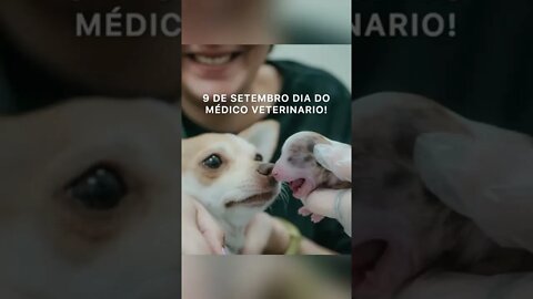 Feliz dia do Médico Veterinário! Homenagem feita pela ONG Toca Segura! Muito obrigado!