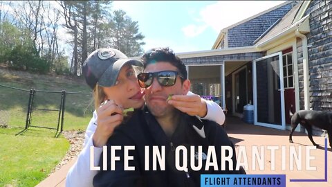 Life in Quarantine As a Flight Attendant | I embarrassed my mom