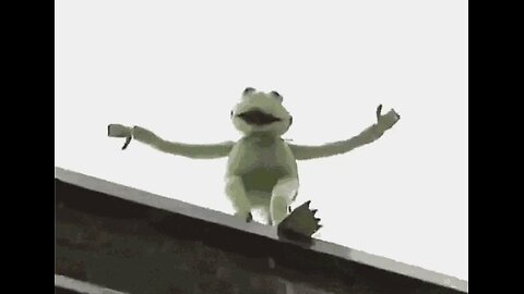 KERMIT JUST FINDS OUT MOTHER WAS A DEM TOAD.