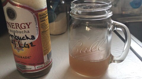 Kombucha F2