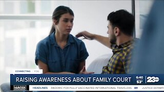 Raising awareness for issues within the family court system