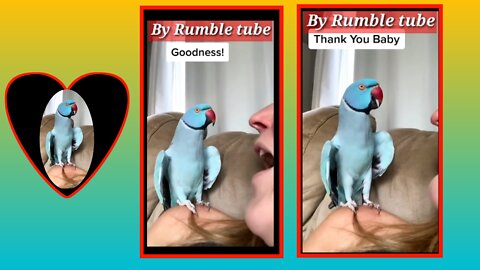 Pets video | I love you baby | #Entertainment #pets #viral #rumble #trending