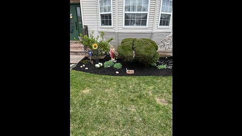 Garden Update 6/2/23