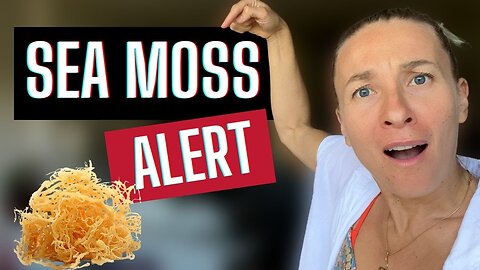 Sea Moss: The Gut-Healing Power You Didn’t Know You Needed