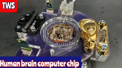 They Made A Real Human Brain Computer Chip