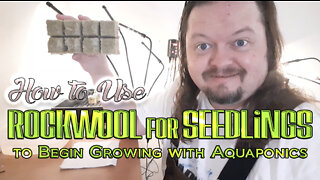 ThatAquaponicsGuy Using Rockwool for your Seedlings