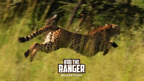 Failed Cheetah Chase | Maasai Mara Safari | Zebra Plains