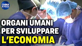 01.12.20 CF: Trapianti di organi per lo sviluppo economico. Il problema del "ciclo economico interno"