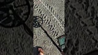 Metal Detecting Florida Beach