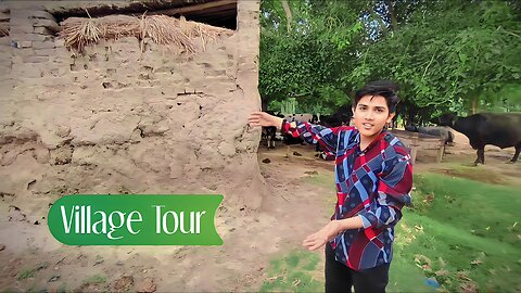 Village Tour | Old Culture of Punjab | Village Life Pakistan | Tayyab Mushtaq