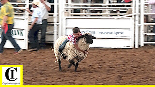 Mutton Bustin' 🦙 2022 Saint's Roost Ranch Rodeo | Saturday