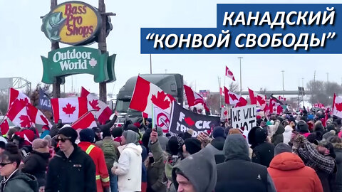 Канадский “Конвой свободы”. Что дальше?