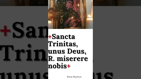 Sancta Trinitas, unus Deus, miserere nobis #shorts