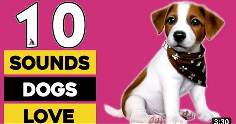 10 top sound dogs loves