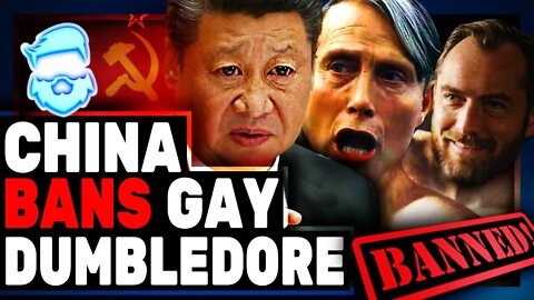 Woke Hypocrisy! Fantastic Beasts: The Secrets of Dumbledore BLASTED For Cutting Woke Stuff In China!