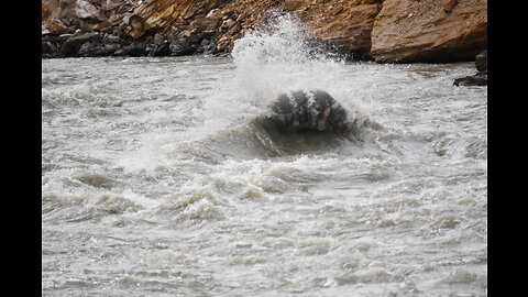 Nenana Rafting Trip 6/9/23