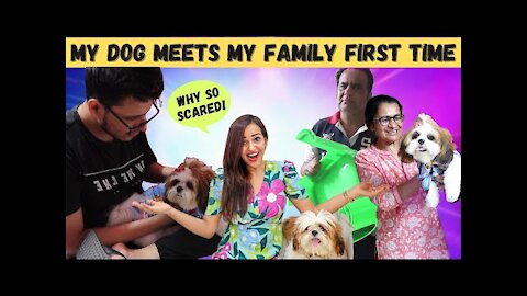 MY DOG meets my FAMILY for FIRST TIME (CRAZY REACTIONS)